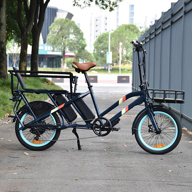 TDN03Z Cargo Elektrofahrrad Hinterradnabenmotor E-Bike 20 Zoll dünneres Reifenfahrrad