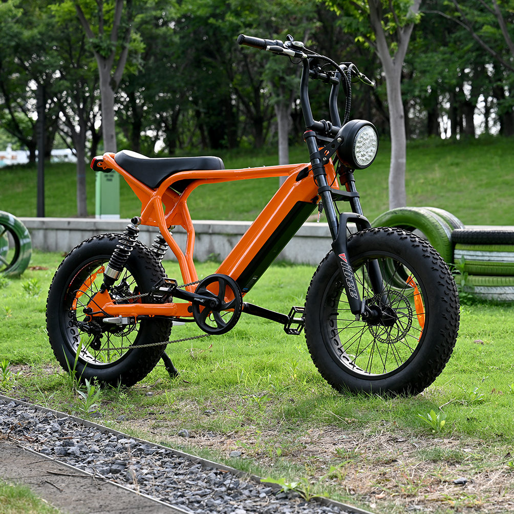 Heck -Nabenmotorrad mit 20 'Zoll Fettreifen Doppelkronen -Federgabel mit langem Sait E -Bike