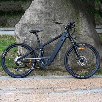 Kohlefaser -Elektrofahrrad 1000W/1200 W Mittelfahrradfahrradfahrradwagen MTB