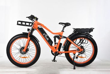 E-CELLS SUPER MONARCH AWD 700 1000 WATT