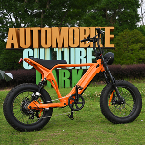 Heck -Nabenmotorrad mit 20 'Zoll Fettreifen Doppelkronen -Federgabel mit langem Sait E -Bike